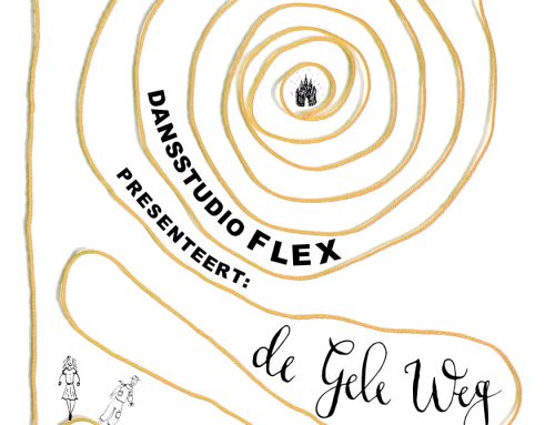 Dansstudio Flex